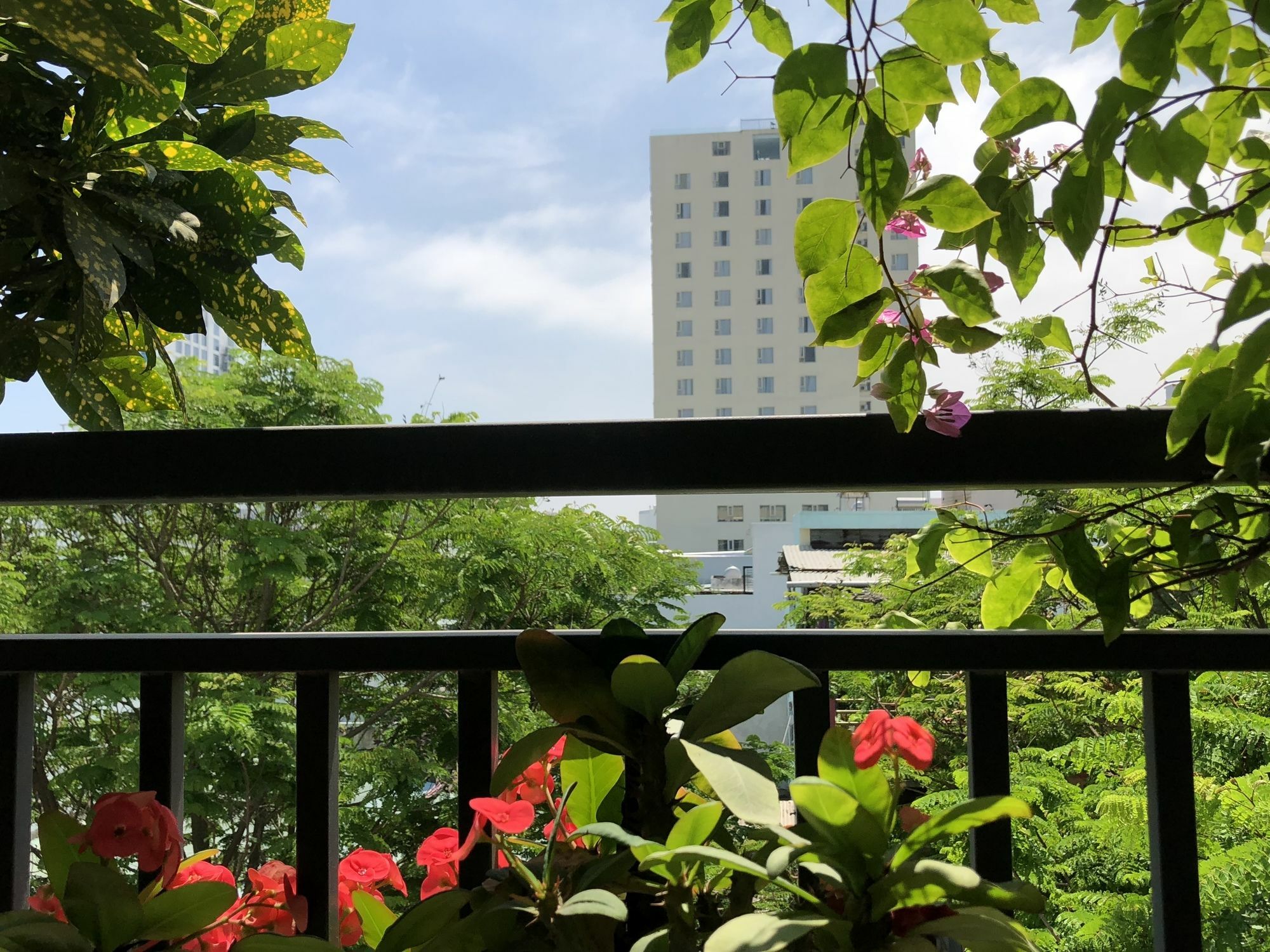 Van'S Homestay Danang Exterior photo